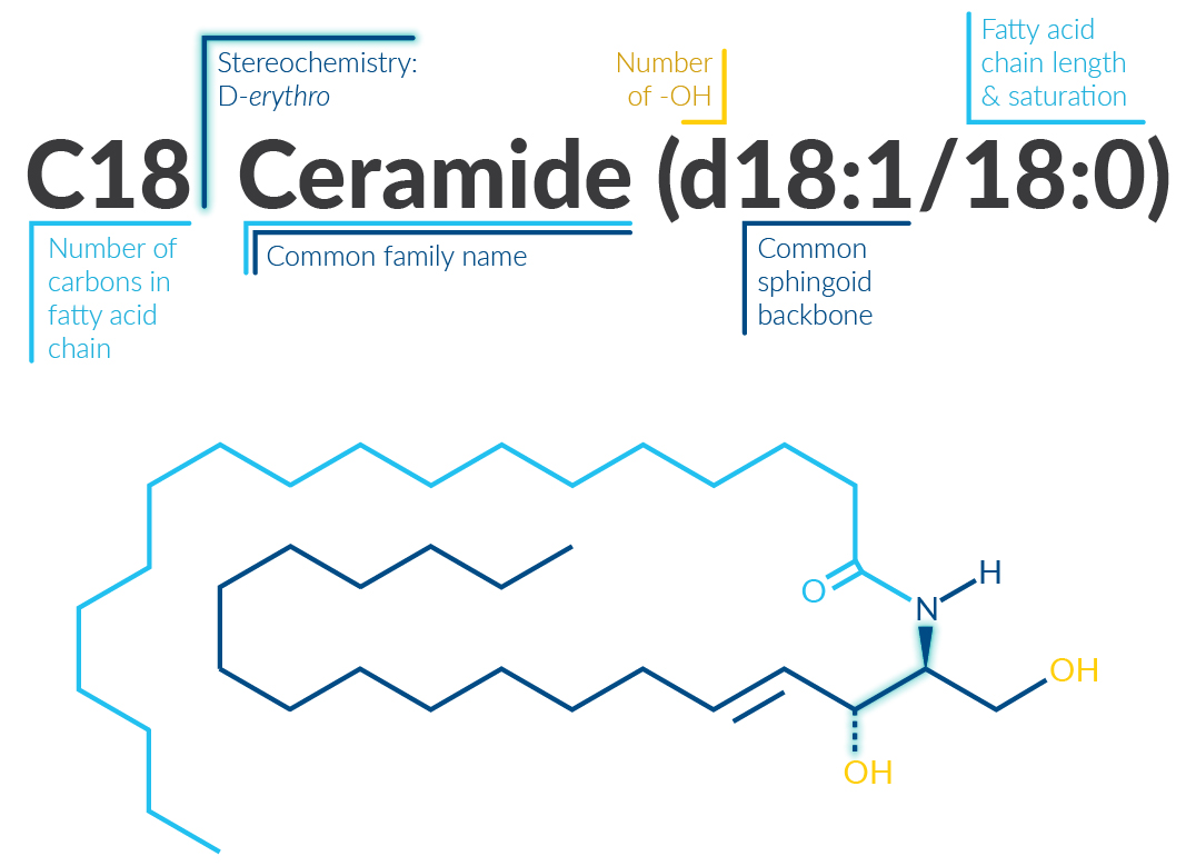 Sphingolipid Shorthand | News & Announcements | Cayman Chemical